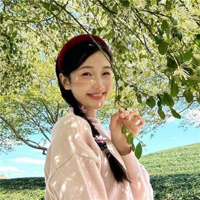 托托的色彩美学观