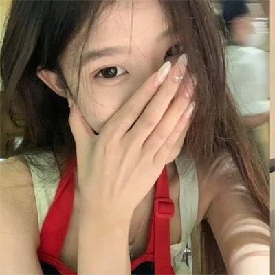 我私人的爱达荷
